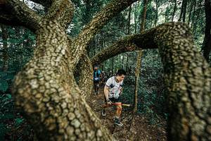 BIB: 
                            <button type="button" onclick="openModal(25393120)" class="btn btn-primary btn-sm float-right btn-popup" data-toggle="modal" data-target=".modal-high-quality">
                        <i class="fas fa-shopping-cart"></i> Add to Cart
                    </button>
                                            <button type="button" onclick="isThisMe(25393120, true)" class="btn btn-success btn-sm float-right btn-popup btn-isme hidden" data-toggle="tooltip" data-placement="bottom" title="นี่คือรูปของคุณใช่ไหม คลิกที่นี่เพื่อเอาเข้าอัลบั้ม">
                        <i class="fas fa-plus"></i> Add to album
                    </button>
                    <button type="button" onclick="isThisMe(25393120, false)" class="btn btn-warning btn-sm float-right btn-popup btn-isnotme hidden">
                        <i class="fas fa-ban"></i> Remove from album
                    </button>